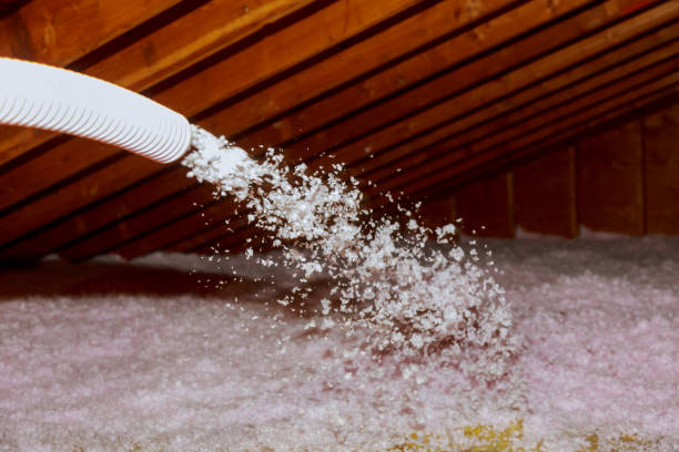 Best Types of Insulation in Kaibab Estates West, AZ