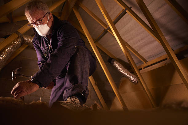 Best Specialty Insulation in Kaibab Estates West, AZ