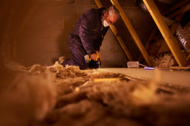 Best Types of Insulation in Kaibab Estates West, AZ